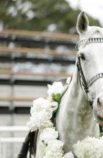 RACHAEL FINCH at 2014 Sydney Spring Carnival at Royal Randwick Racecourse