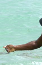 SERENA WILLIAMS in Bikini at a Beach in Miami