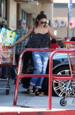 VANESSA HUDGENS at Grocery Shopping in Los Angeles