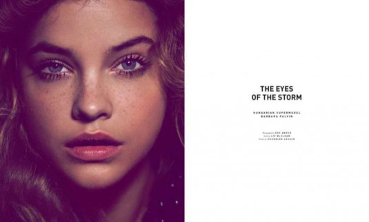 BARBARA PALVIN in Malibu Magazine