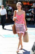 ALESSANDRA AMBROSIO Out Shopping at Whole Foods Market in Brentwood 0510