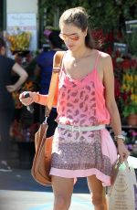 ALESSANDRA AMBROSIO Out Shopping at Whole Foods Market in Brentwood 0510