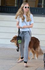 AMANDA SEYFRIED and Her Dog Shopping in Beverly Hills 2110