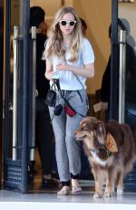 AMANDA SEYFRIED and Her Dog Shopping in Beverly Hills 2110
