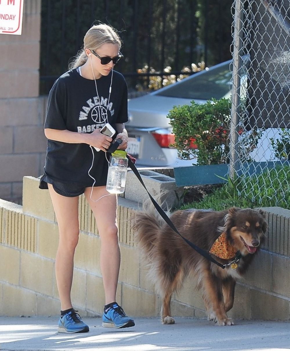 AMANDA SEYFRIED in Shorts with Her Dog Finn Out in West Hollywood ...