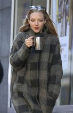 AMANDA SEYFRIED Walks Her Dog Finn Out in New York