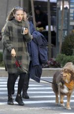 AMANDA SEYFRIED Walks Her Dog Finn Out in New York