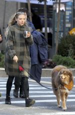AMANDA SEYFRIED Walks Her Dog Finn Out in New York