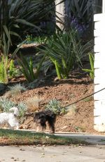 ASHLEY BENSON Walks Her Dogs Out in Hollywood 1010