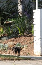 ASHLEY BENSON Walks Her Dogs Out in Hollywood 1010