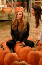 BELLA THORNE at Pumpkin Patch in Los Angeles