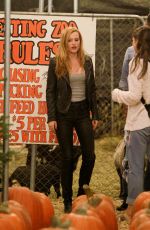 BELLA THORNE at Pumpkin Patch in Los Angeles