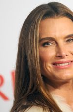 BROOKE SHIELDS at 2014 An Enduring Vision Benefit in New York
