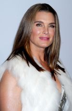 BROOKE SHIELDS at 2014 An Enduring Vision Benefit in New York