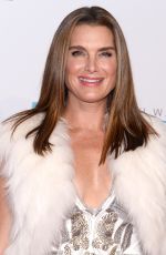 BROOKE SHIELDS at 2014 An Enduring Vision Benefit in New York