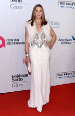 BROOKE SHIELDS at 2014 An Enduring Vision Benefit in New York