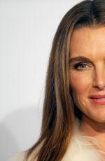 BROOKE SHIELDS at 2014 An Enduring Vision Benefit in New York