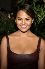 CHRISSY TEIGEN at 2014 Variety Power of Women in Beverly Hills