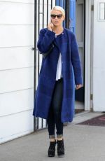 DIANNA AGRON Out Shopping in Beverly Hills 1710