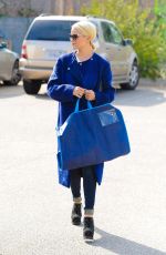 DIANNA AGRON Out Shopping in Beverly Hills 1710