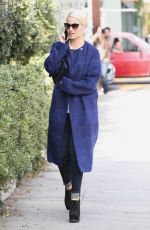 DIANNA AGRON Out Shopping in Beverly Hills 1710