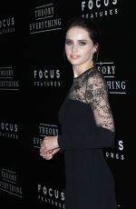 FELICITY JONES at The Theory of Everything Premiere in New York