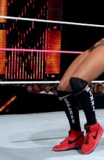 Hell in a Cell 2014