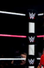 Hell in a Cell 2014