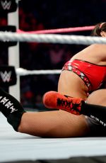 Hell in a Cell 2014
