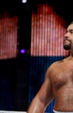 Hell in a Cell 2014