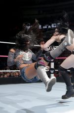 Hell in a Cell 2014