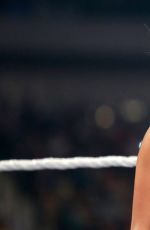 Hell in a Cell 2014
