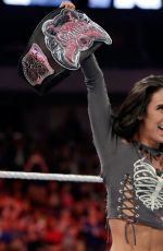 Hell in a Cell 2014
