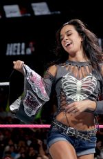 Hell in a Cell 2014