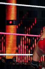 Hell in a Cell 2014