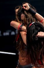 Hell in a Cell 2014