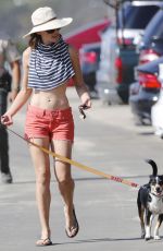 HILARY SWANK in Bikini Top at a Beach in Malibu