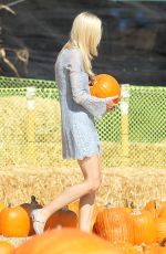 JAIME KING at Pumpkin Patch in Beverly Hills