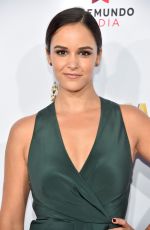 MELISSA FUMERO at 2014 NCLR Alma Awards in Pasadena