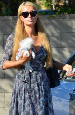 PARIS HILTON with Her Dog Prince Hilton Out for Lunch