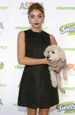 SARAH HYLAND at Aspca Event at Pillars 28 in New York