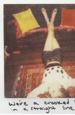 TAYLOR SWIFT - 1989 Album Polaroids