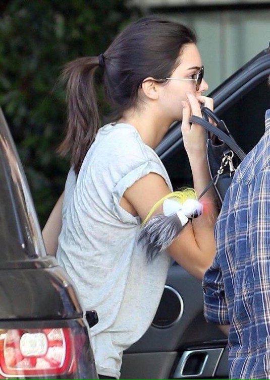 KENDALL JENNER Out in Beverly Hills