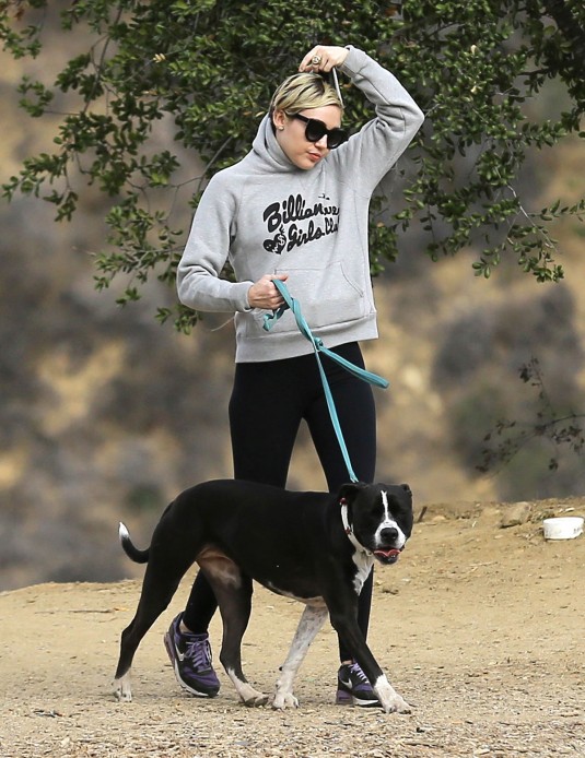 MILEY CYRUS Walks Her Dog at Fryman Park in Studio City MILEY CYRUS at Fryman Park