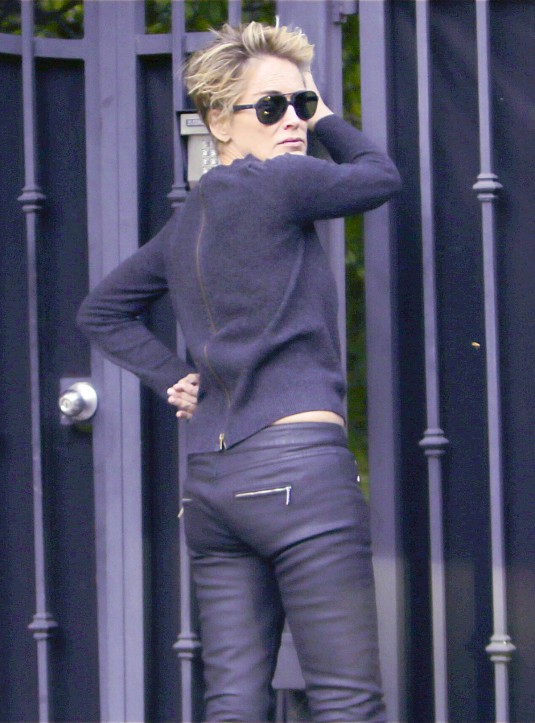 SHARON STONE Out in Los Angeles