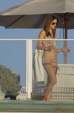 ALESSANDRA AMBROSIO in Bikini at a Beach in Malibu 0811