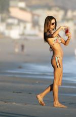 ALESSANDRA AMBROSIO in Bikini at a Beach in Malibu 0811