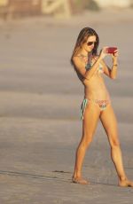 ALESSANDRA AMBROSIO in Bikini at a Beach in Malibu 0811