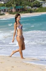 ALESSANDRA AMBROSIO in Bikini at a Beach in St. Barts 2611