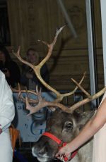 AMANDA HOLDEN at Celebrity Singalong from Frozen at Royal Albert Hall